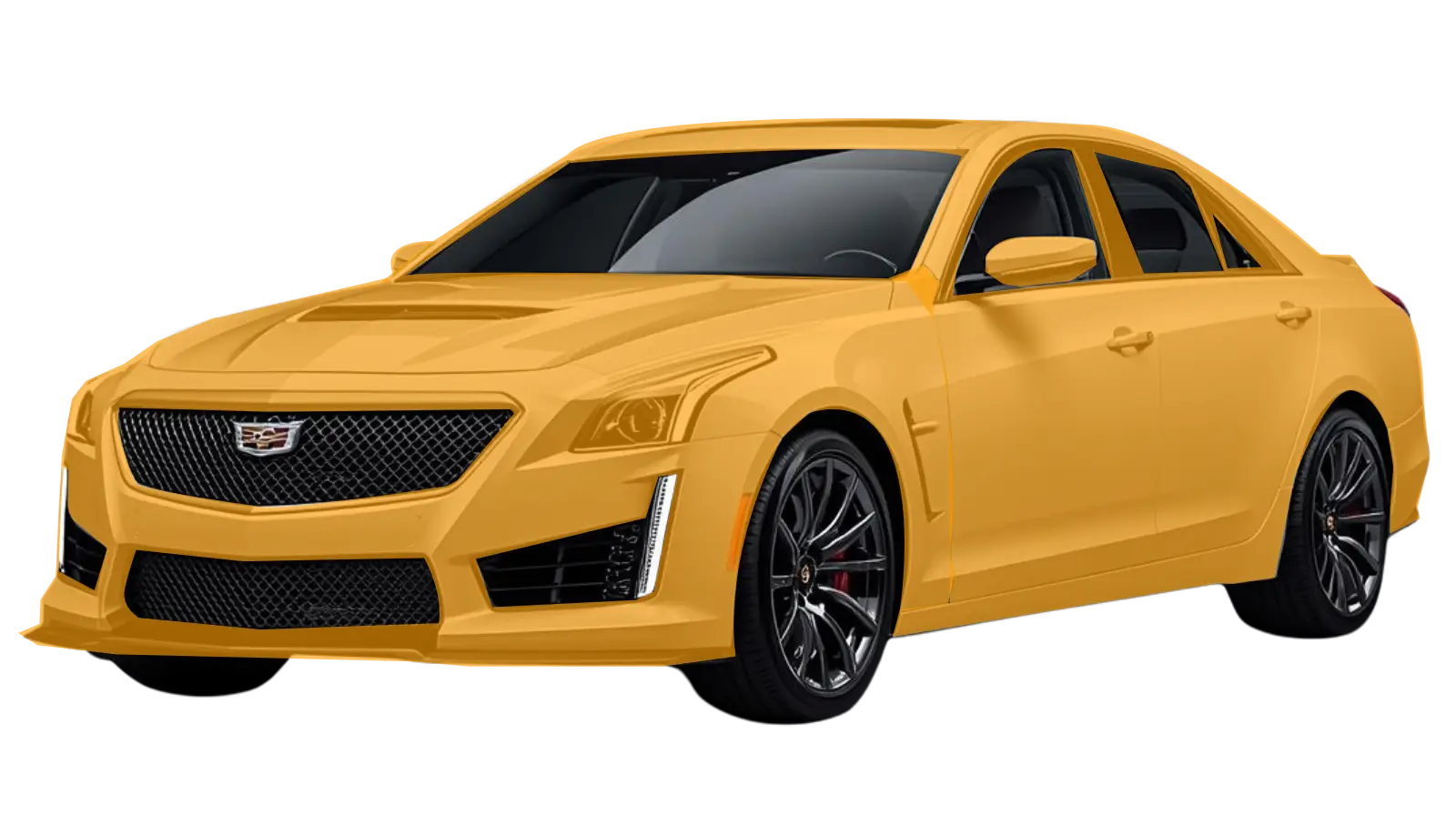 full-body-orange-btnf